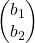 \begin{pmatrix}  b_1 \\  b_2  \end{pmatrix}